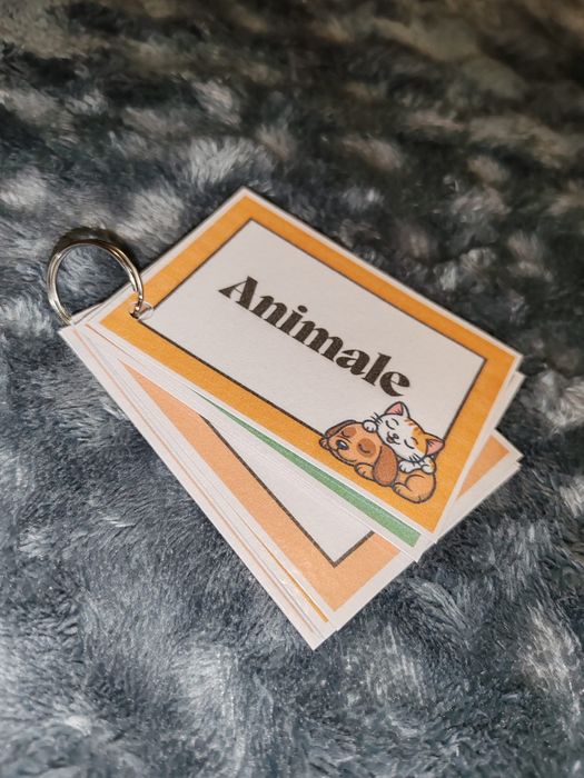 Flashcarduri animale
