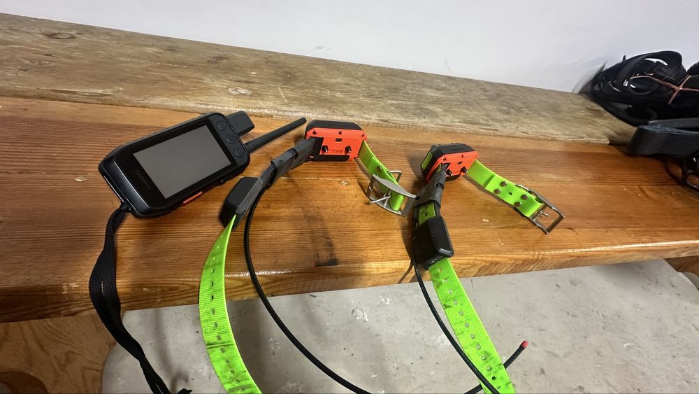 Garmin ошейник и пульт