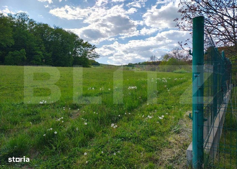 De vanzare-Teren intravilan 3000mp parcelabil- Cartier Remetea