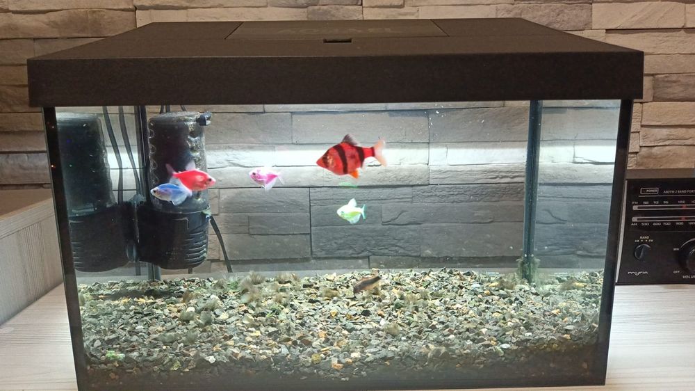 Acvariului Aqael 25 l