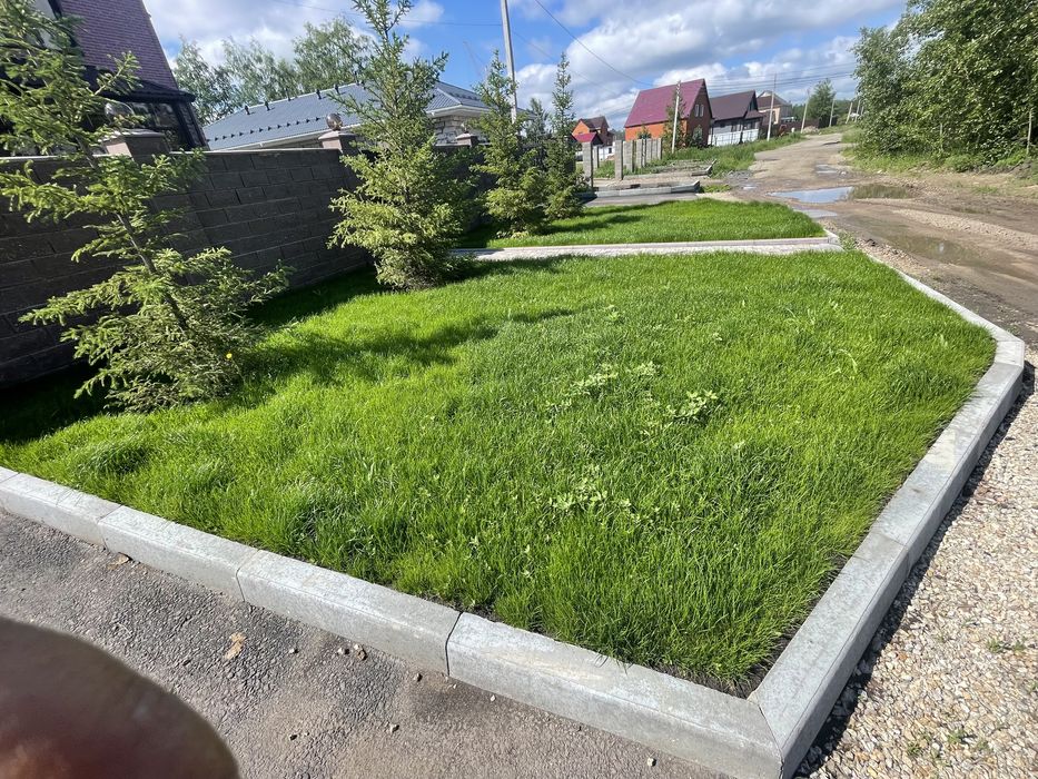 Газон посевной под ключ