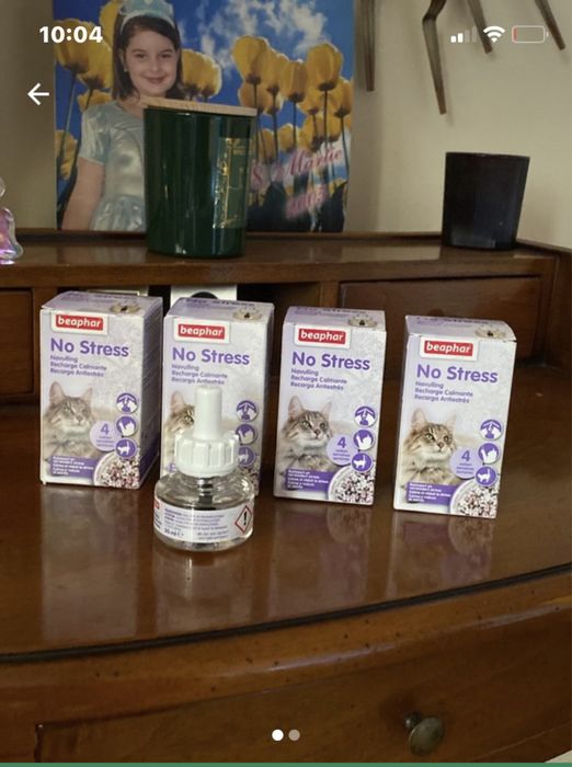 No stress ptr pisici