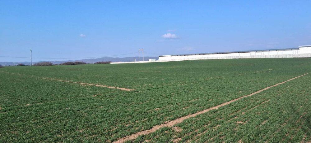 Teren intravilan 1.667 mp zona industriala , zona Targ Baicoi