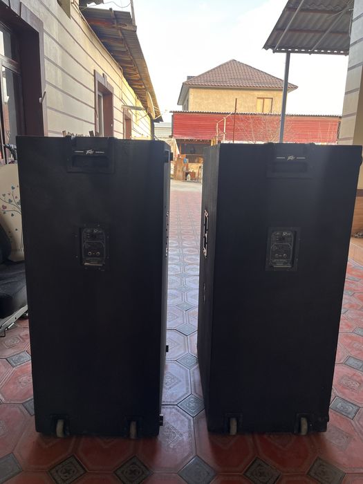 Корпуса от колонок peavey sp218