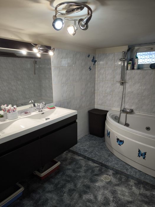 Vind casa curte zona Bucureștii Noi.