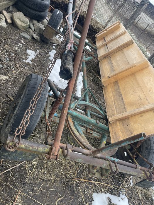 Caruta de in cal si doi