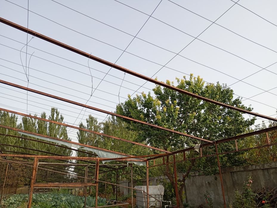 Teplitsa sotiladi rossiyskiy ugolnidan