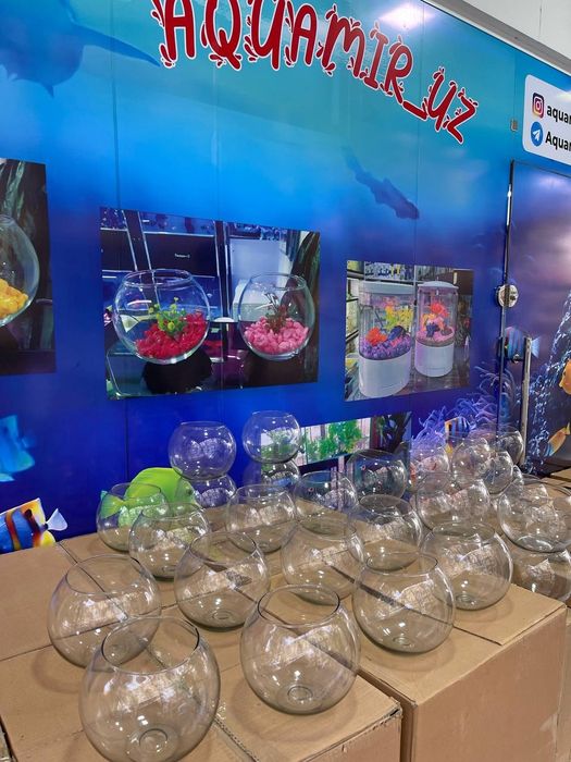 Akvarum va baliq magazin