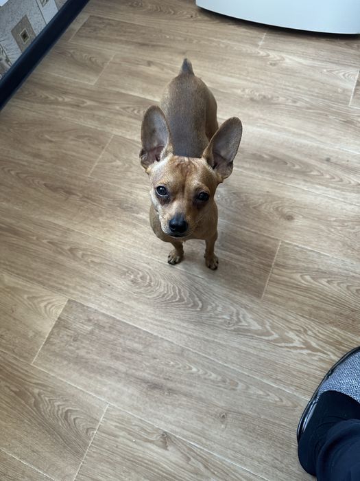 Мальчик ищет девочку