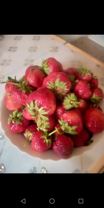 продам дачу. СО Мичуринец