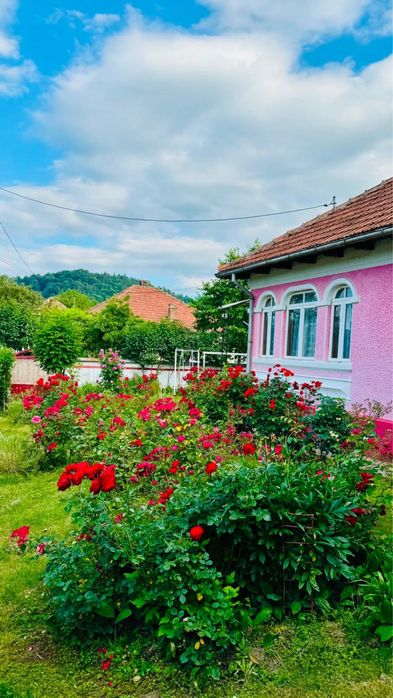 Vand casa locuibila cu teren 1490 mp