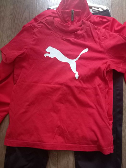 Trening original puma
