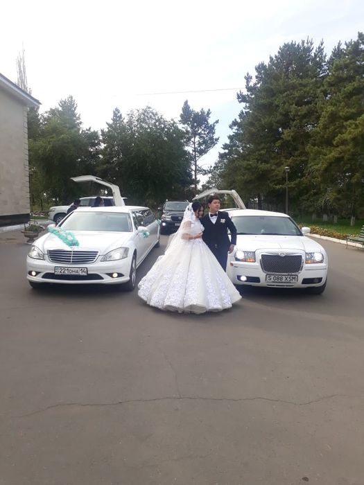 Прокоат аренда лимузина павлодар