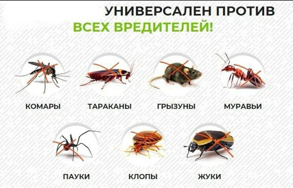 ⁸⁵Сичкон, таракан ва хашаротларни  йукотувчи Pest Reject