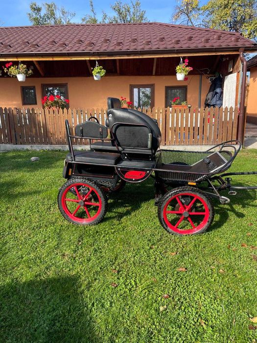 Caleașcă / trăsură pentru ponei