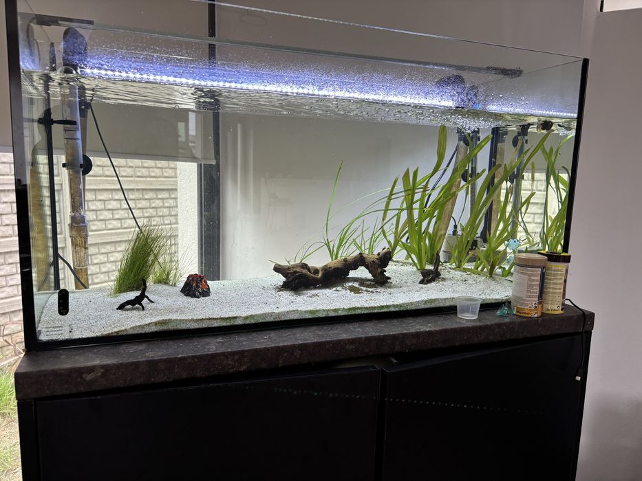 Doua acvarii 250l si respectiv 300l complet echipate