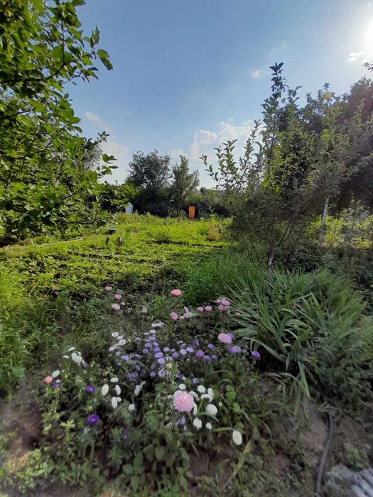 Продам дачу в обществе Парус