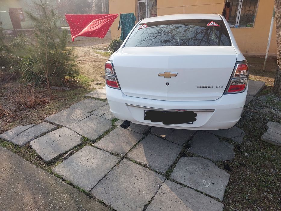 Cobalt midnight 2025