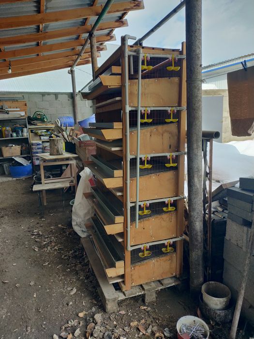 Клетка для перепелов.