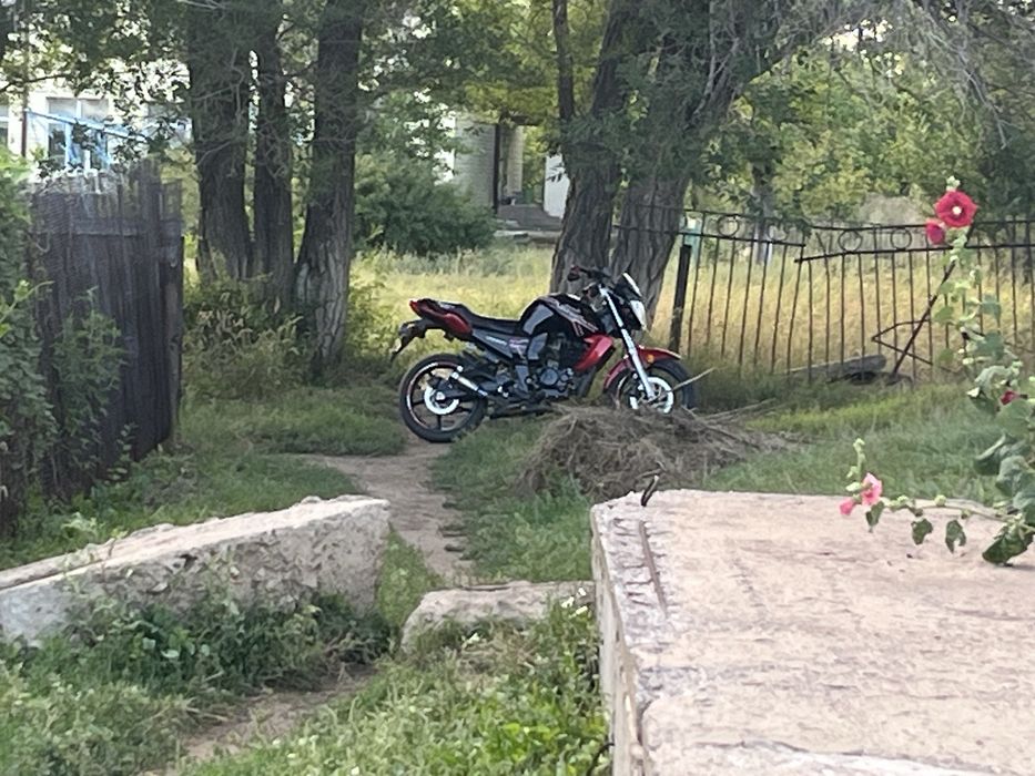 Racer Nitro 250PRO