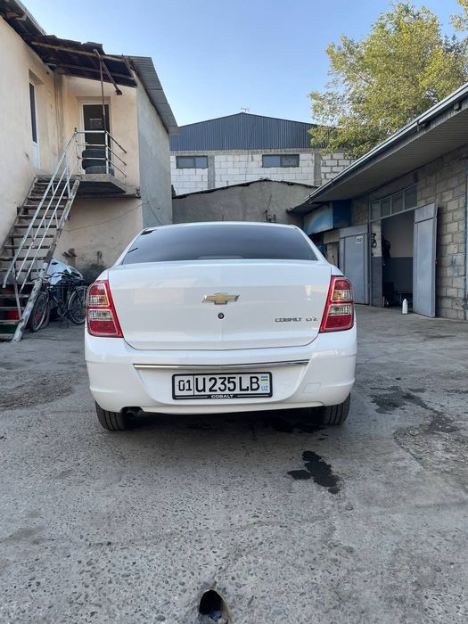 Cobolt 2020yil holati zo'r