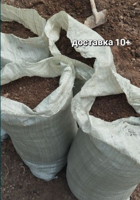 Қи удобрения перегной 5-жылдық қара малдың көң