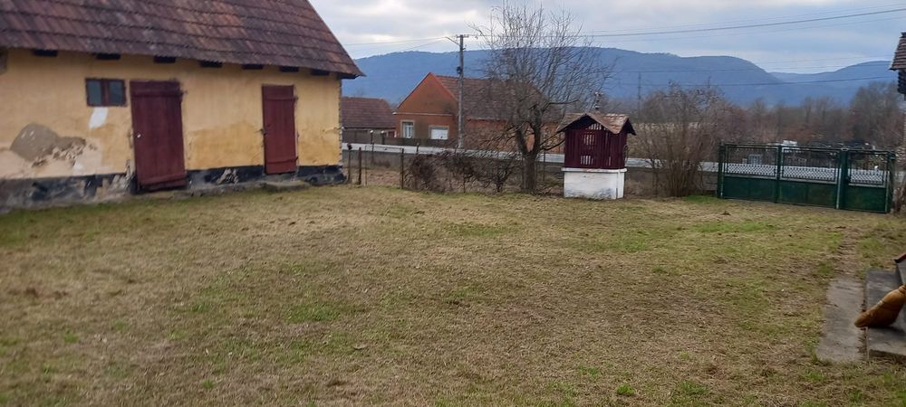 Casă lntre Petriș și săvârșin 6400 mp intravilan  zona foarte bună