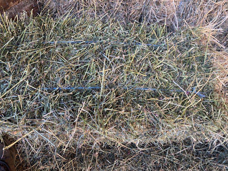 Vand baloti: lucerla, fan, otava si paie