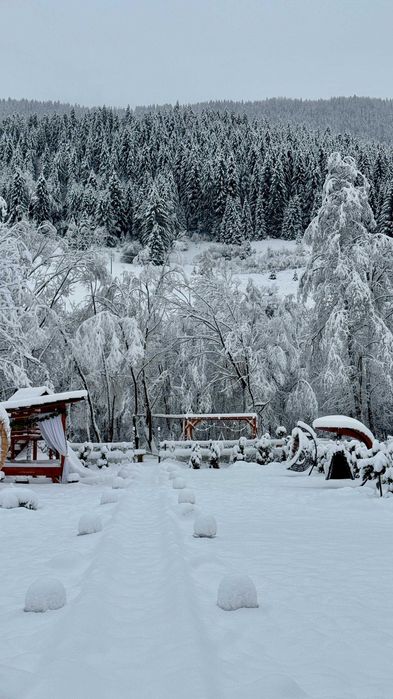 Cazare în Țara Moților, Apuseni, Vidra – 8 camere, ciubăr