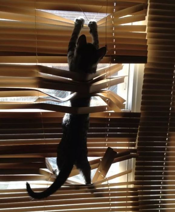 Ремонт жалюзи Алматы