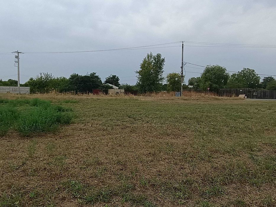 Teren Teghes Domnesti