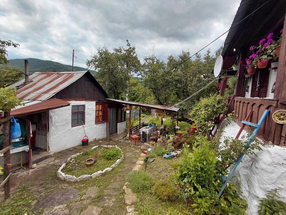 Casa Tradițională de vânzare