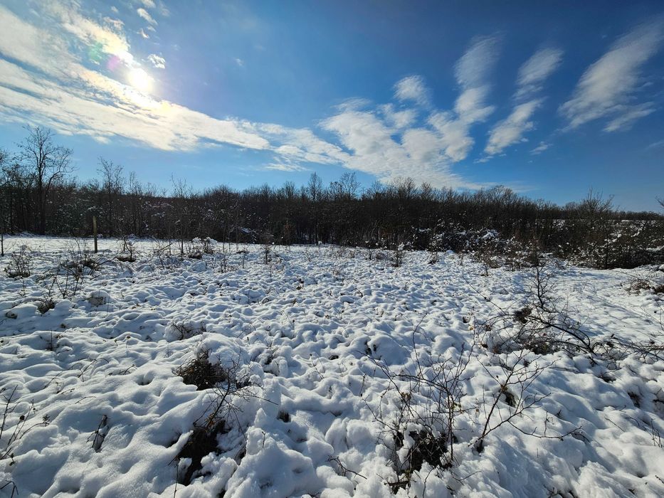 Продава се Парцел в с. Велчево, Област Велико Търново - 1300 кв.м за 15 €/кв.м - Снимка #3