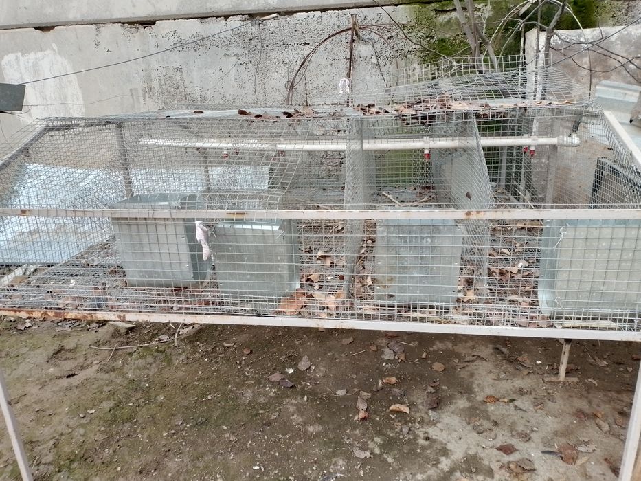 Клетка для кроликов