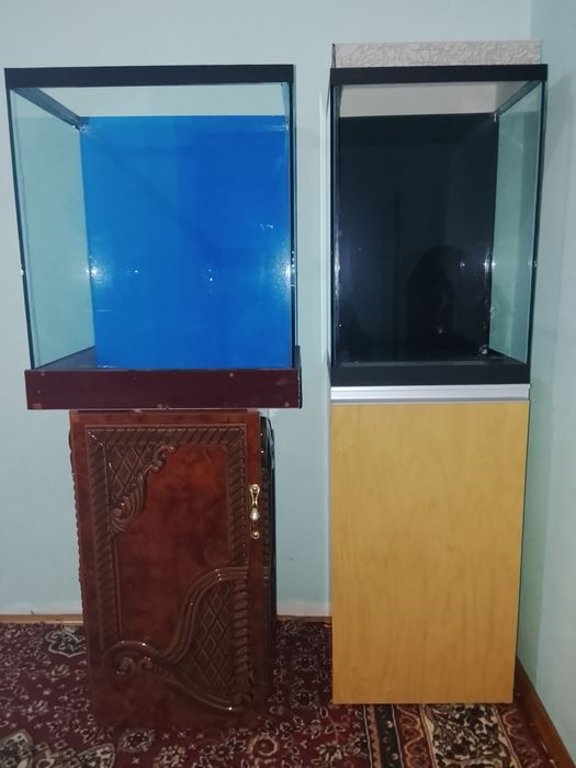 Akvariumlar sotiladi