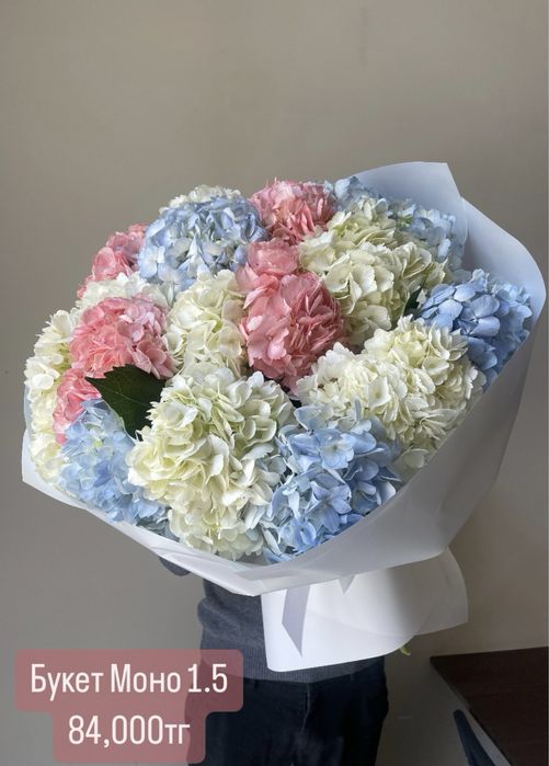 Большой выбор, акции