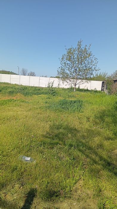 Teren intravilan
