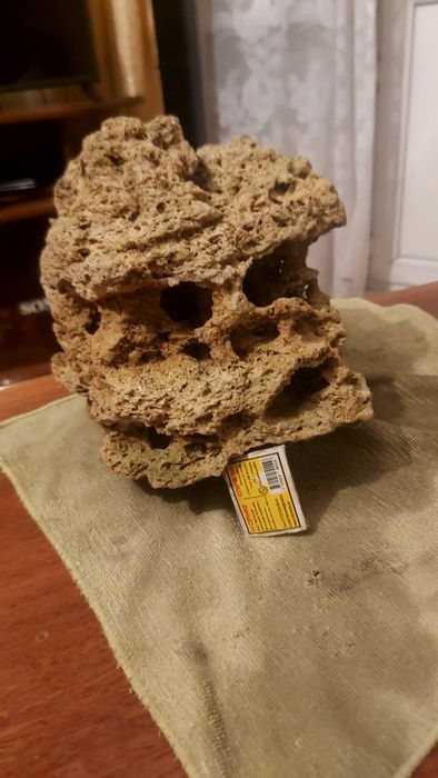 Аквариумное растения