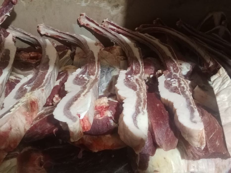 Продам Мясо байтал