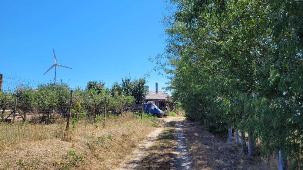 Teren cu Ferma si Livada cu deschidere la lacul Tasaul