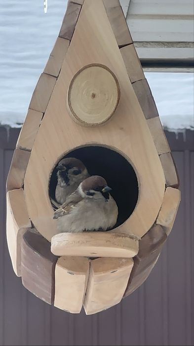 Кормушка скворечник для птиц