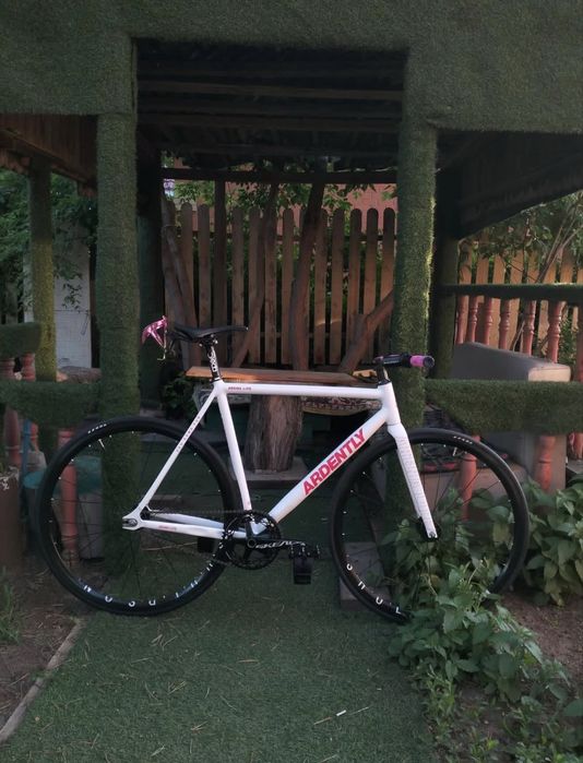 Фикс ardently arena lite размер L(55)