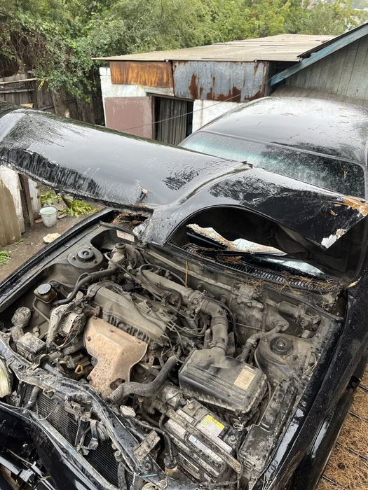 Тоиота эксив в продаже