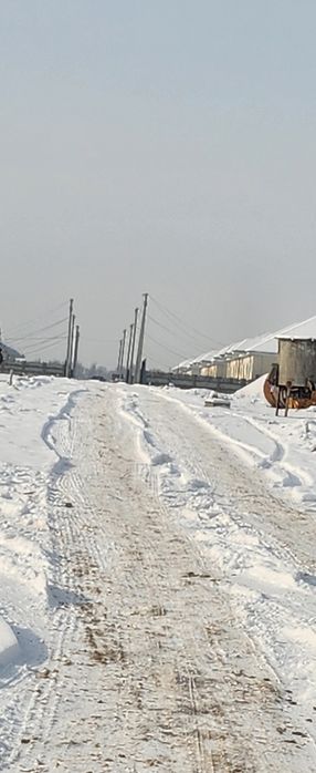 Береке поселок (Жетысу)