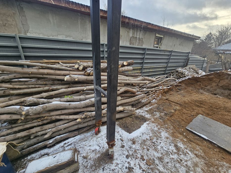 Дрова бревна клен карагач