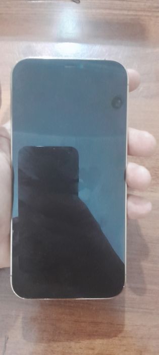 iphone 12 pro max icloudga tushgan