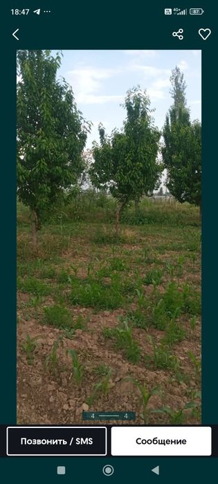 Срочно! Участок в Мирзо-Улугбекском районе (Ориентир: музей плова)
​Пр