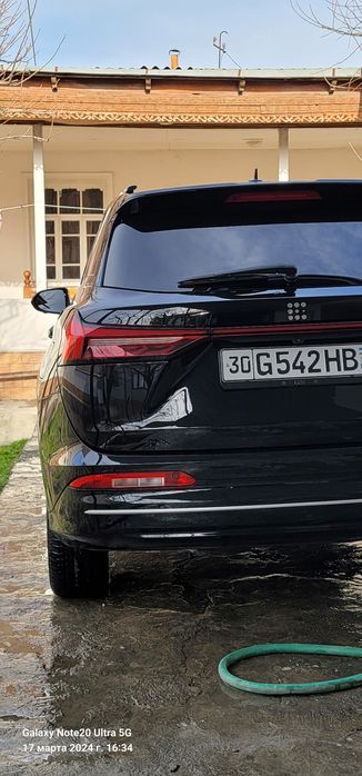 2024 Don Fengon gibrit