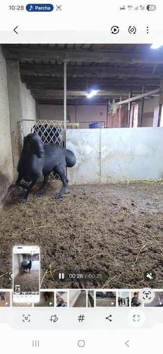 Лумизин линяа 2 г