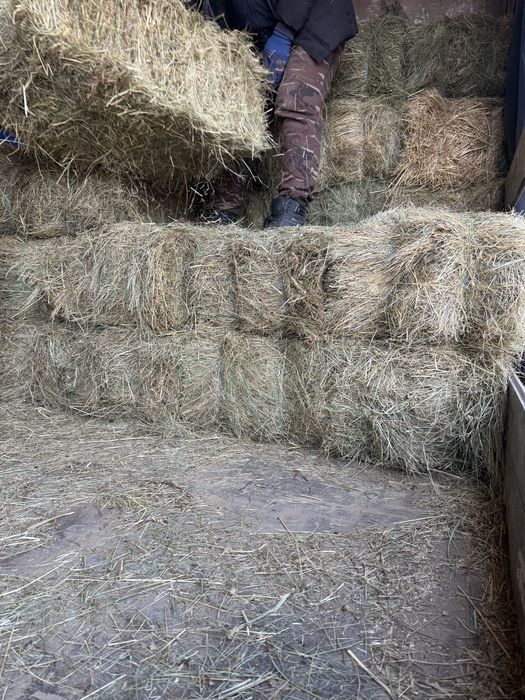 Vand baloti de fan(otava)